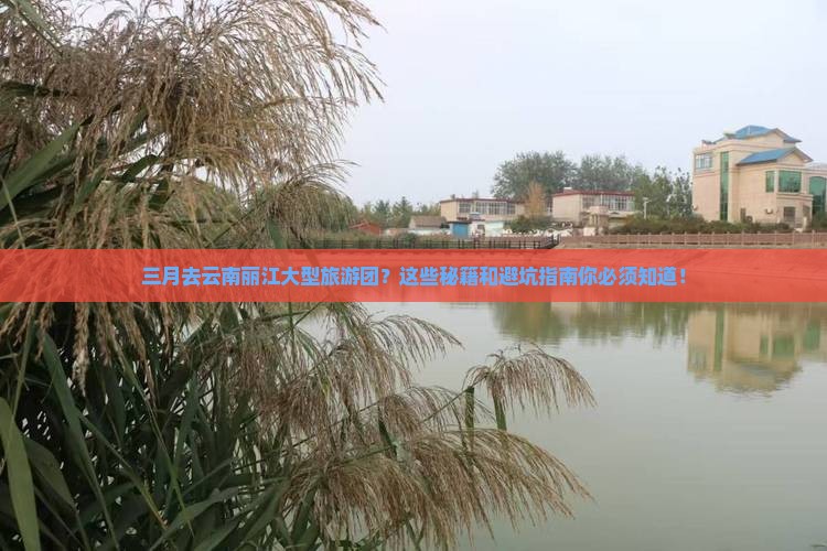 三月去云南丽江大型旅游团