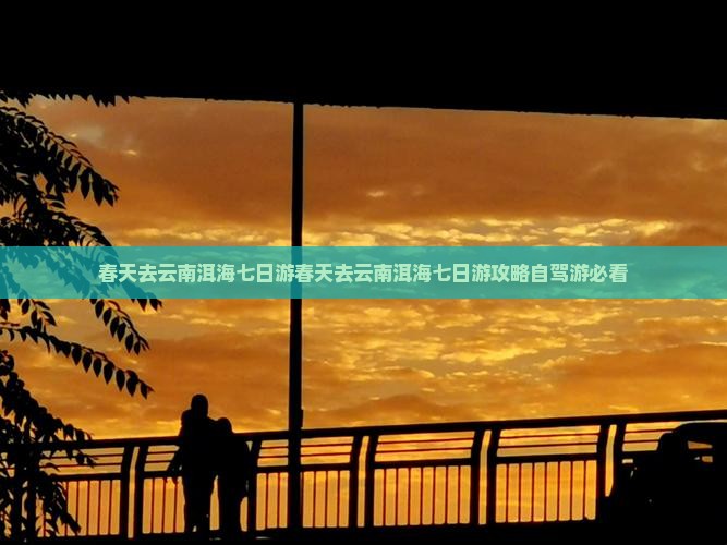 春天去云南洱海七日游