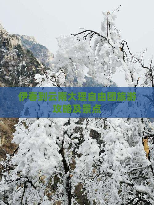 伊春到云南大理自由团