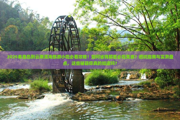 秦皇岛到云南洱海旅游小吃