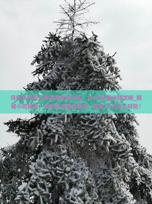 乌鲁木齐到云南洱海旅游小吃