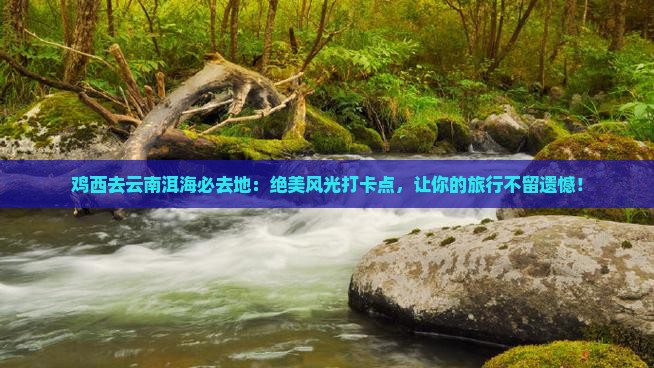 鸡西去云南洱海必去地