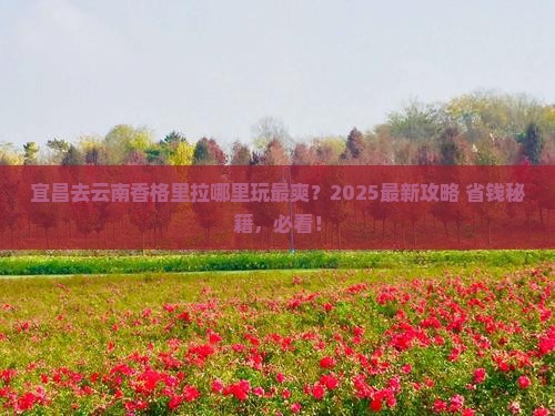 宜昌去云南香格里拉哪里玩