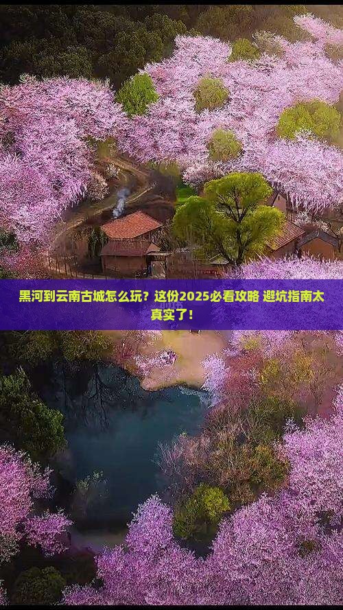 黑河到云南古城旅行社