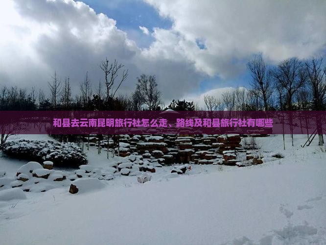 和县去云南昆明旅行社