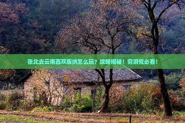 张北去云南西双版纳攻略