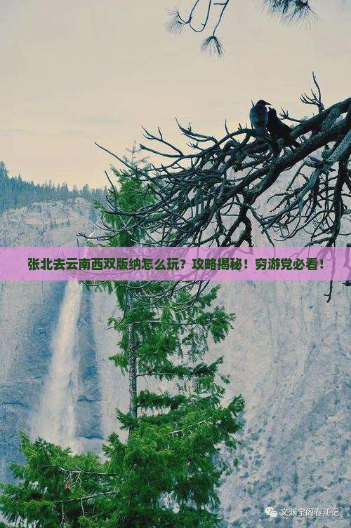 张北去云南西双版纳攻略
