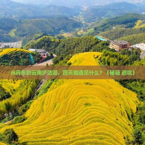 丹东到云南泸沽湖四日游