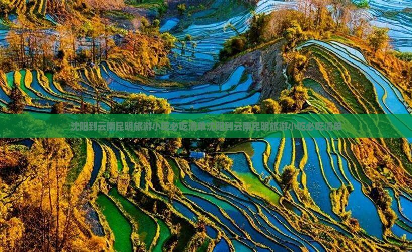 沈阳到云南昆明旅游小吃