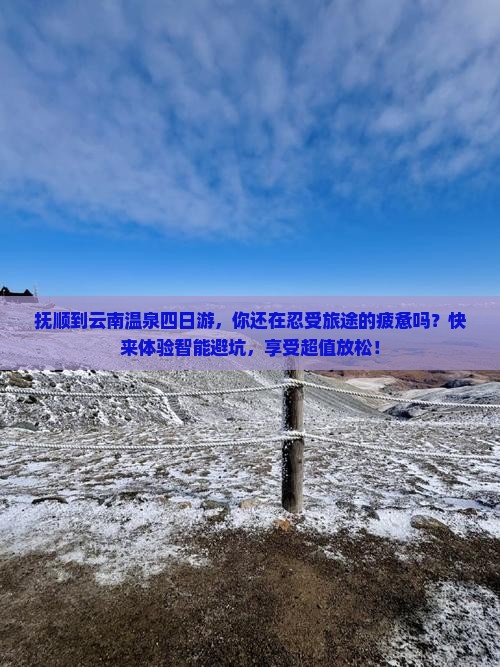 抚顺到云南温泉四日游