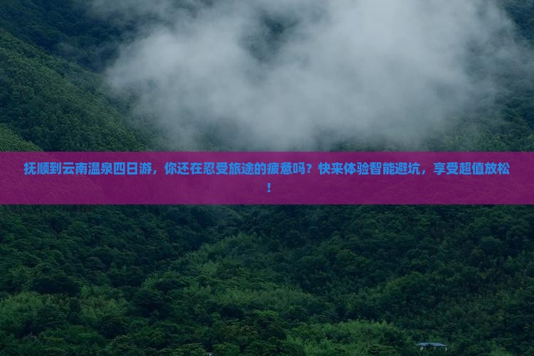 抚顺到云南温泉四日游