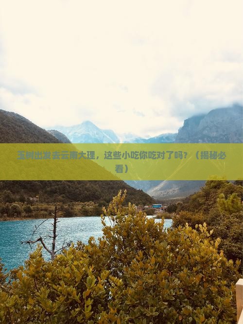玉树去云南大理旅游小吃