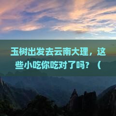 玉树去云南大理旅游小吃