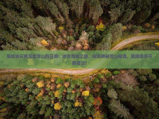 阜新去云南玉龙雪山四日游