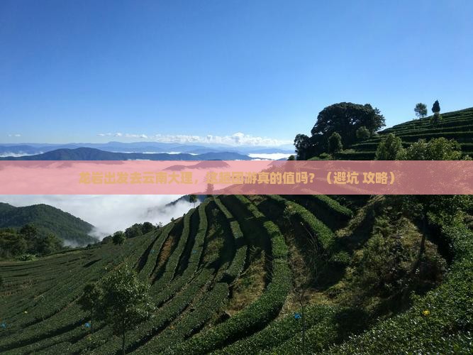 龙岩去云南大理团体旅游