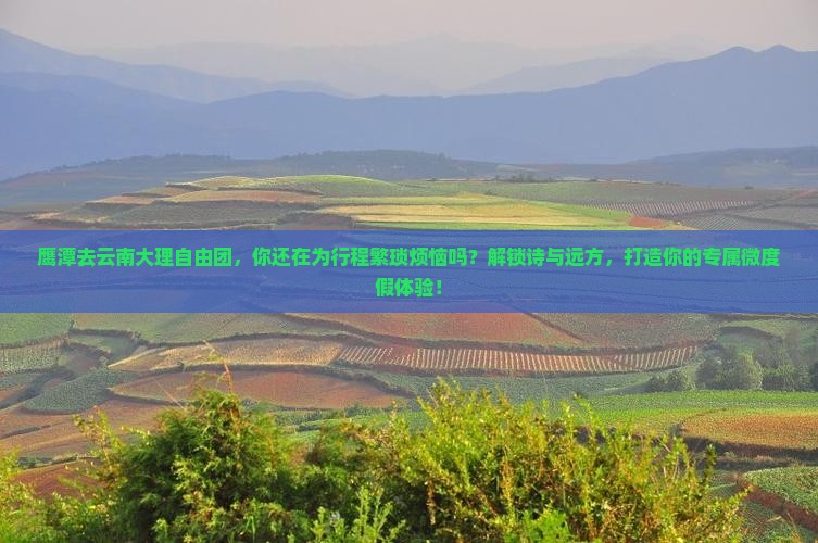 鹰潭去云南大理自由团