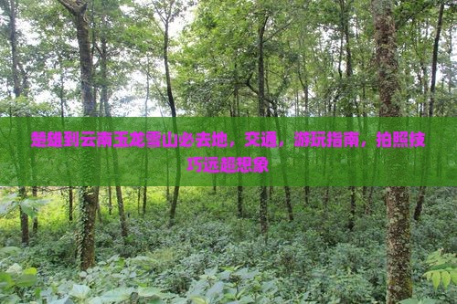 楚雄到云南玉龙雪山必去地