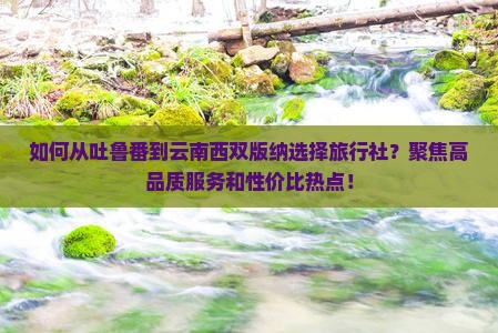 如何从吐鲁番到云南西双版纳选择旅行社？聚焦高品质服务和性价比热点！