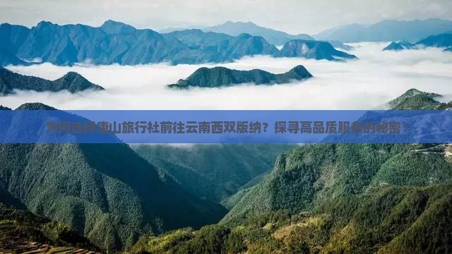 为何选择唐山旅行社前往云南西双版纳？探寻高品质服务的秘密！
