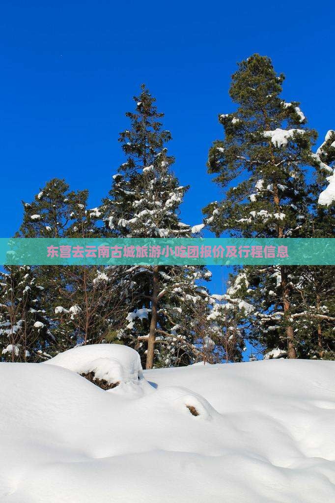 东营去云南古城旅游小吃团报价及行程信息