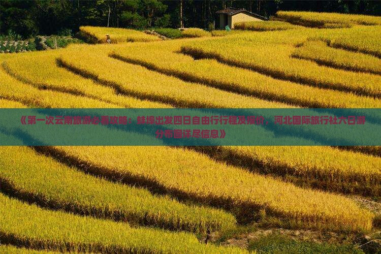 《第一次云南旅游必看攻略：蚌埠出发四日自由行行程及报价，河北国际旅行社六日游分布图详尽信息》