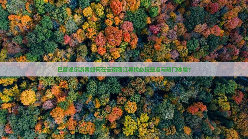 巴彦淖尔游客如何在云南丽江寻找必玩景点与热门体验？