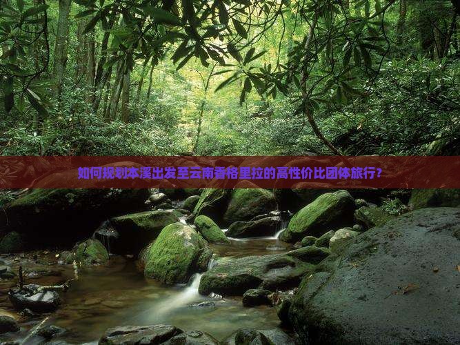 如何规划本溪出发至云南香格里拉的高性价比团体旅行？