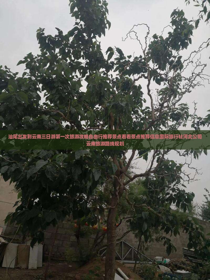 汕尾出发到云南三日游第一次旅游攻略自由行推荐景点看看景点推荐信息国际旅行社河北公司云南旅游路线规划