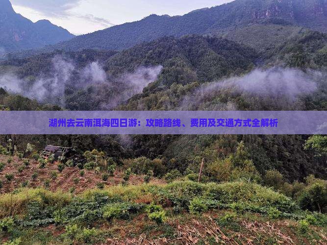 湖州去云南洱海四日游：攻略路线、费用及交通方式全解析