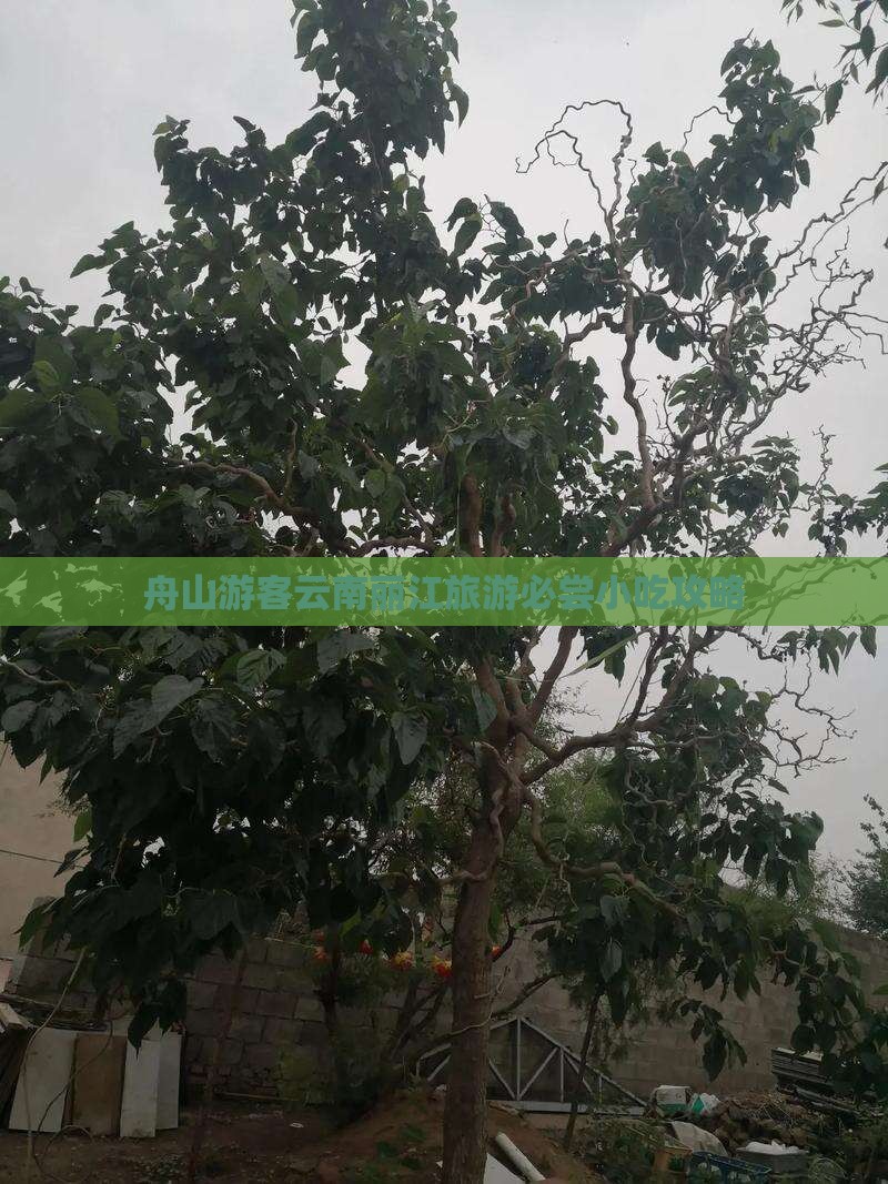 舟山游客云南丽江旅游必尝小吃攻略