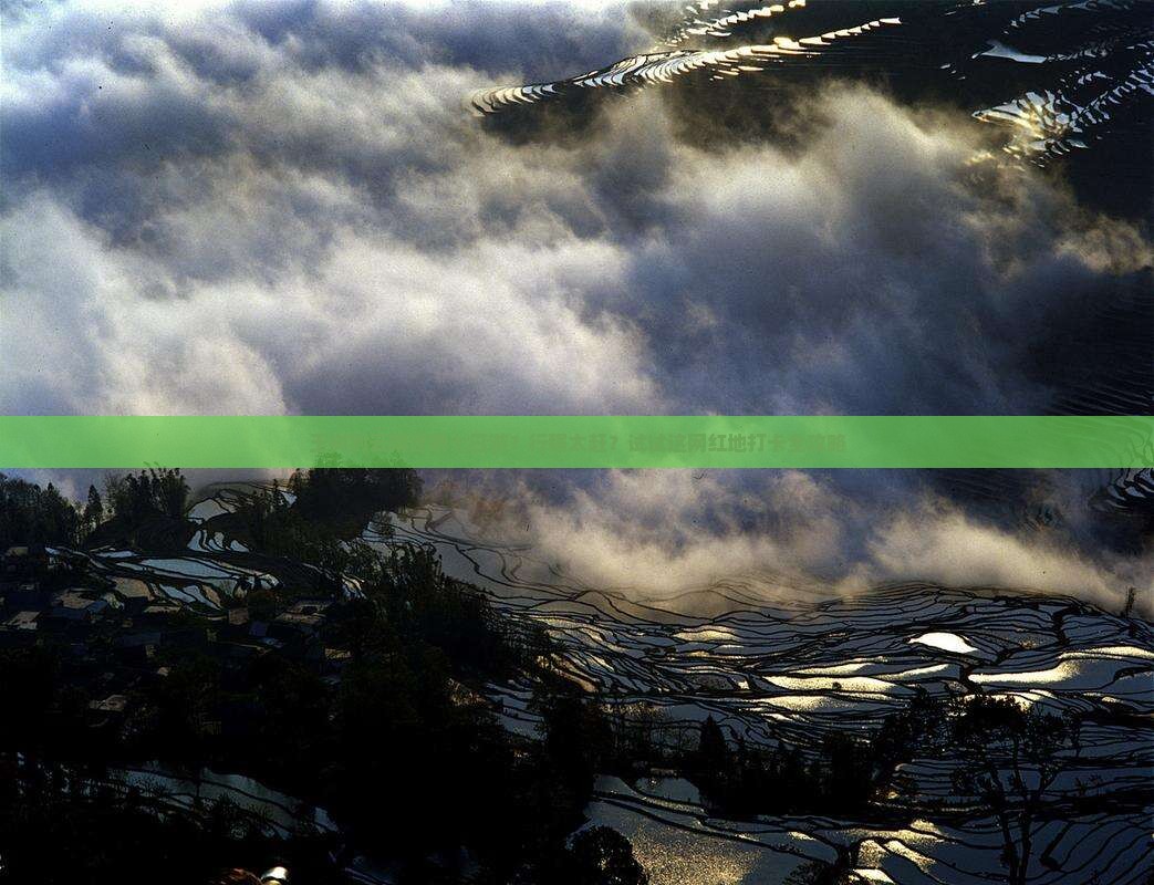 玉树到云南昆明七日游？行程太赶？试试这网红地打卡全攻略