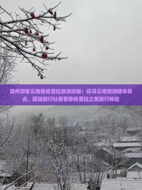 德州游客云南香格里拉旅游攻略：探寻云南旅游精华景点，跟随旅行社看看香格里拉之美旅行体验