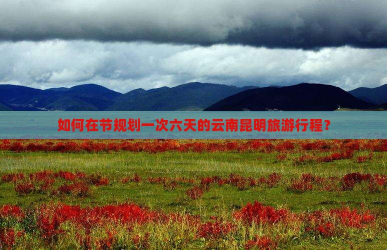 如何在节规划一次六天的云南昆明旅游行程？