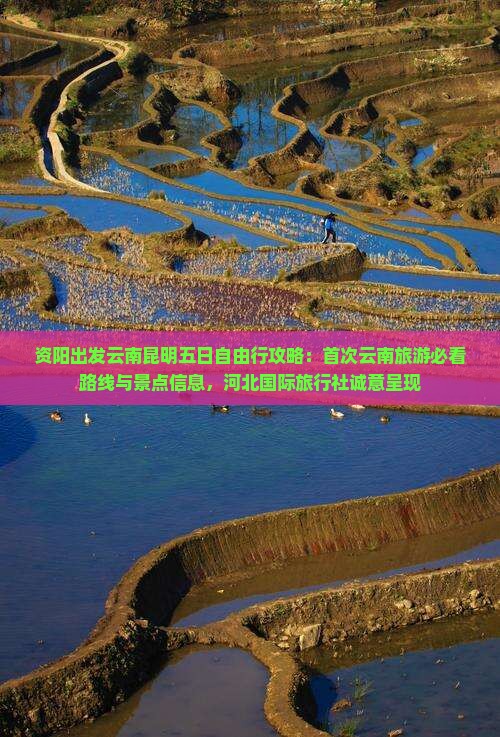 资阳出发云南昆明五日自由行攻略：首次云南旅游必看路线与景点信息，河北国际旅行社诚意呈现