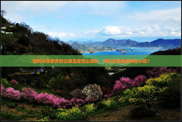 如何从张家界到云南玉龙雪山游玩，同时享受当地特色小吃？