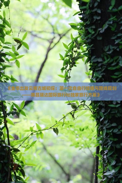 《金华出发云南古城初探：第一次自由行攻略与路线规划——南昌瑞达国际旅行社独家旅行方案》