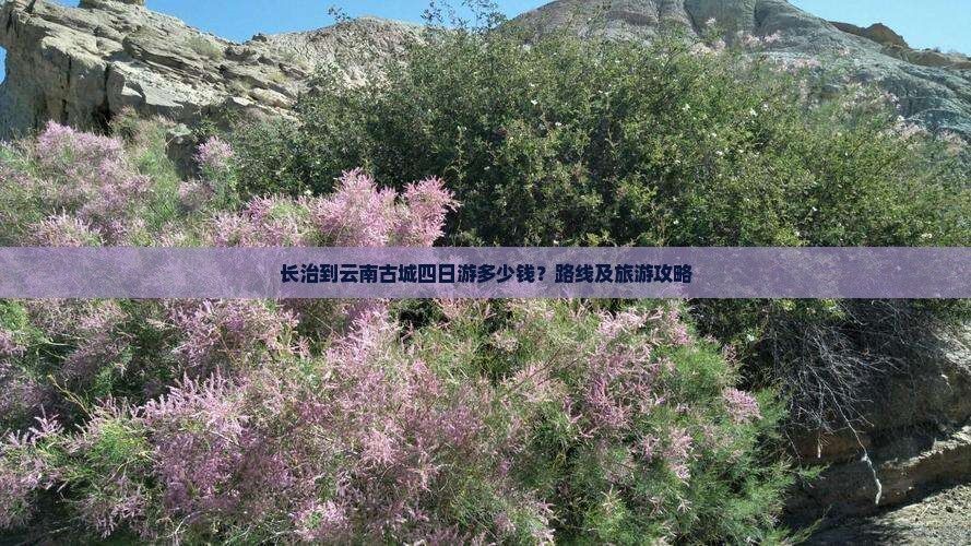 长治到云南古城四日游多少钱？路线及旅游攻略