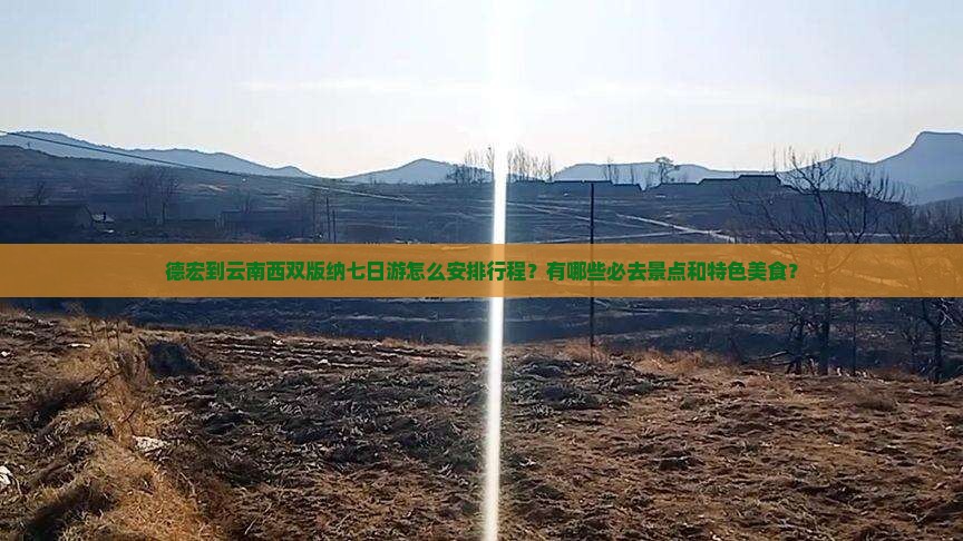 德宏到云南西双版纳七日游怎么安排行程？有哪些必去景点和特色美食？