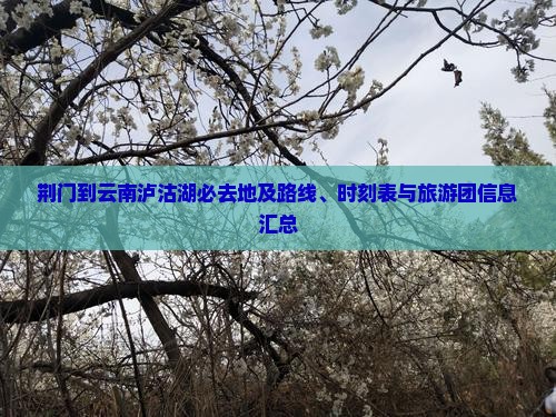 荆门到云南泸沽湖必去地及路线、时刻表与旅游团信息汇总