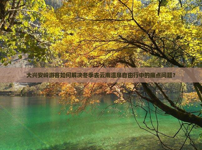 大兴安岭游客如何解决冬季去云南温泉自由行中的痛点问题？