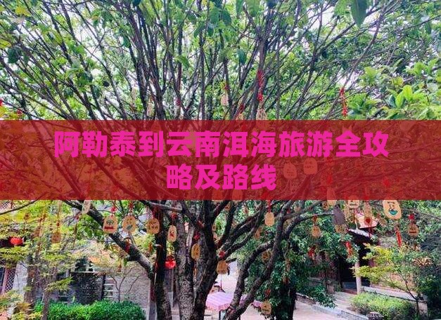 阿勒泰到云南洱海旅游全攻略及路线
