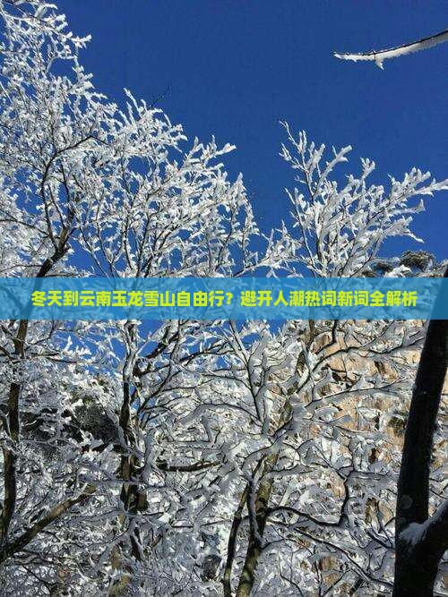 冬天到云南玉龙雪山自由行？避开人潮热词新词全解析