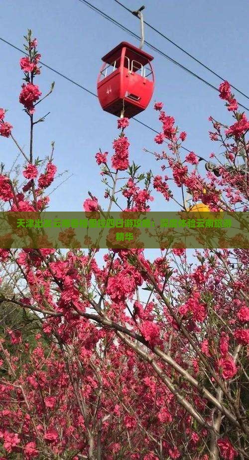 天津出发云南香格里拉四日游攻略：深度体验云南旅游精华