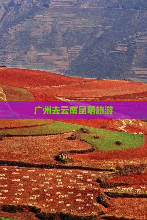 广州去云南昆明旅游