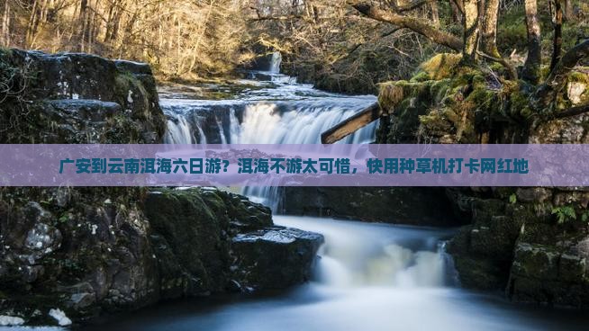 广安到云南洱海六日游？洱海不游太可惜，快用种草机打卡网红地