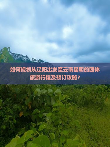 如何规划从辽阳出发至云南昆明的团体旅游行程及预订攻略？
