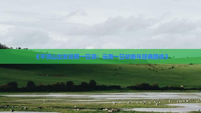 《平顶山出发昆明一日游：云南一日攻略与经典路线》