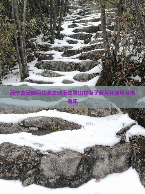 西宁去云南丽江必去地玉龙雪山甘海子蓝月谷蓝月谷电瓶车