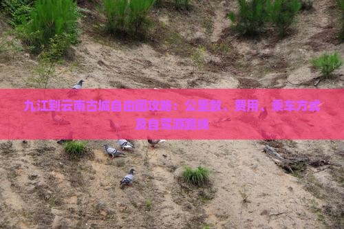 九江到云南古城自由团攻略：公里数、费用、乘车方式及自驾游路线