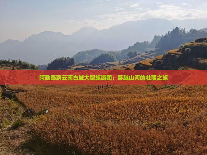 阿勒泰到云南古城大型旅游团：穿越山河的壮丽之旅